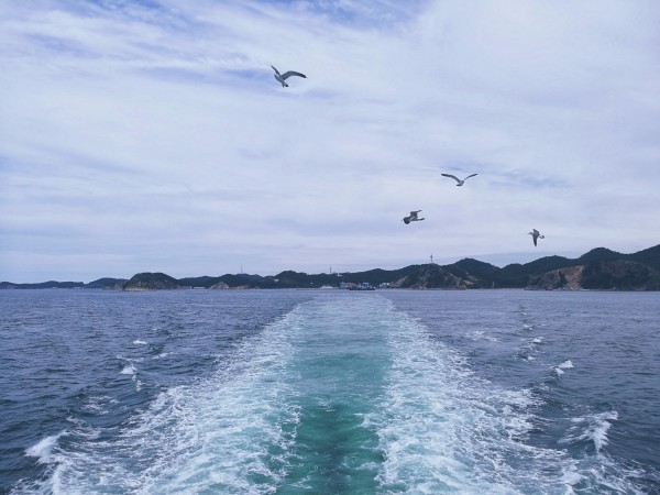 金州海岛游玩攻略,金州海岛游玩攻略大全