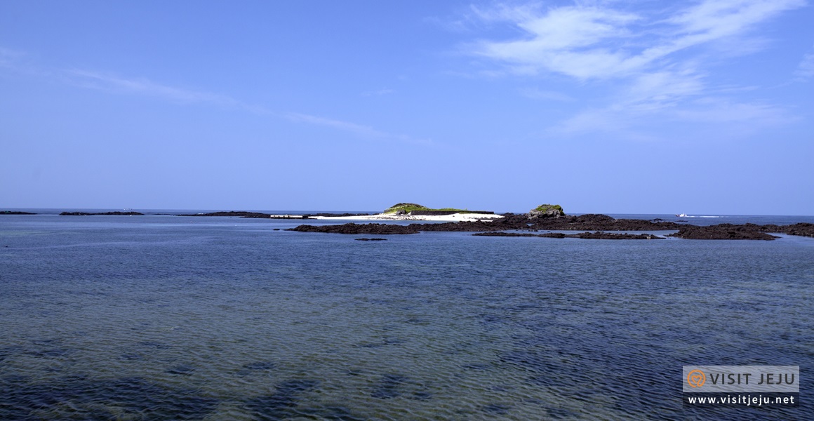 板浦镇人口_板浦镇副书记陈云(2)