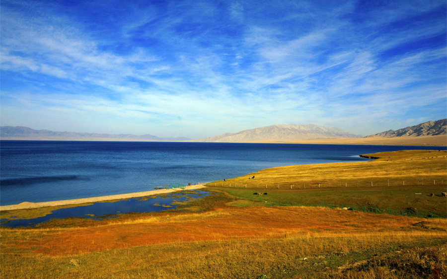 wKgBEFpZeeiAcTa5AAPyeHQRevM69.jpeg?imageView2%2F2%2Fw%2F510%2Fh%2F8000%2Fq%2F100