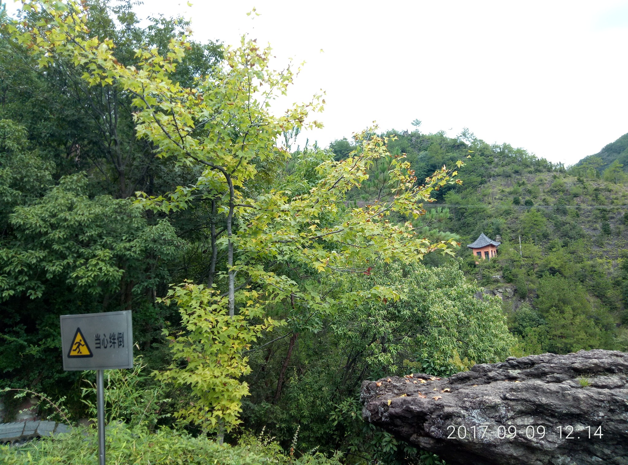 东阳社姆山 赤岸国际登山游步道双尖峰