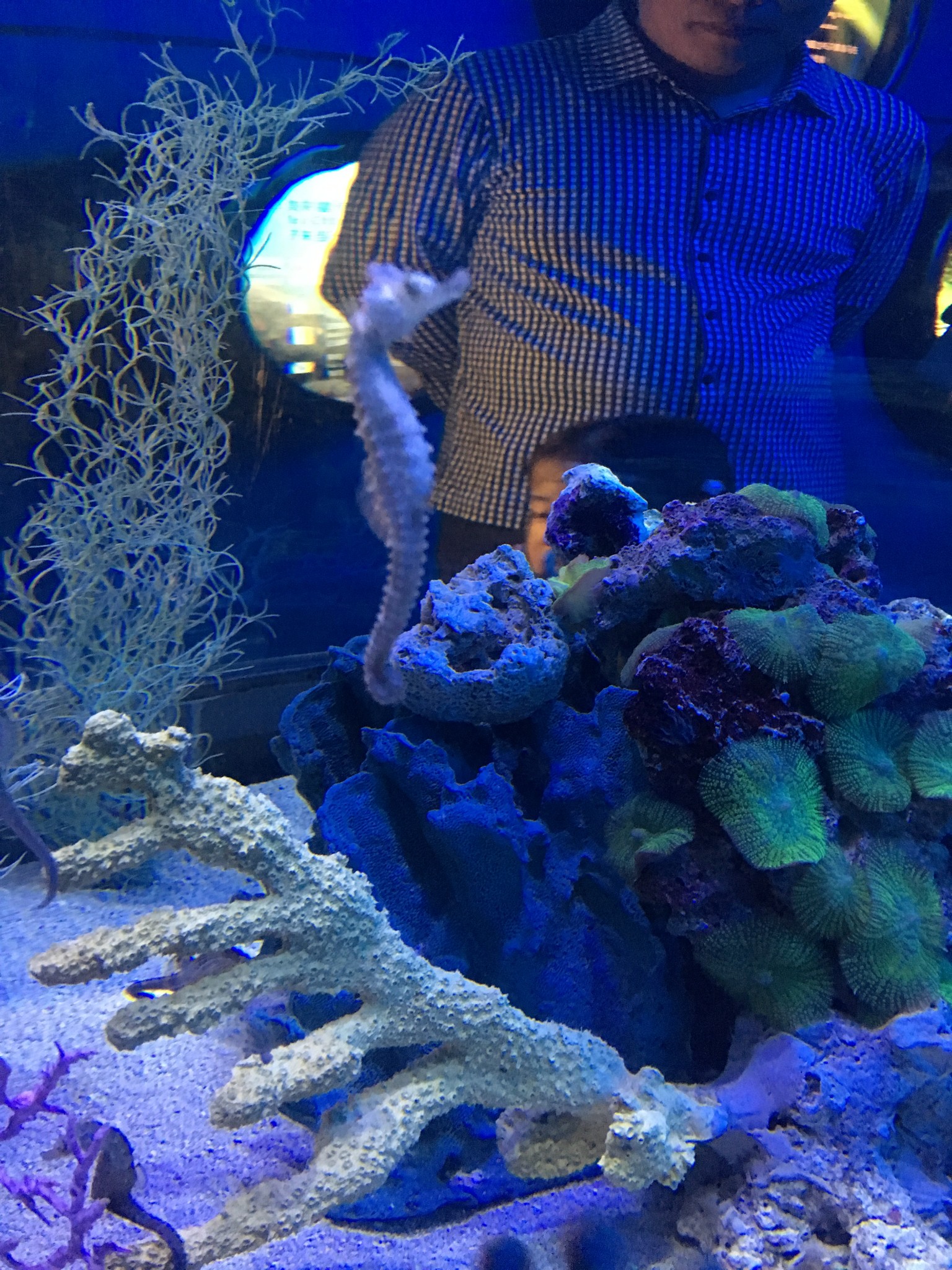 wKgBEFrgP9mANinWAA2SfD8azAI86.jpeg?imageView2%2F2%2Fw%2F600%2Fh%2F600%2Fq%2F90