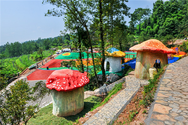 重庆 凤凰花果山景区门票(中国美丽田园)