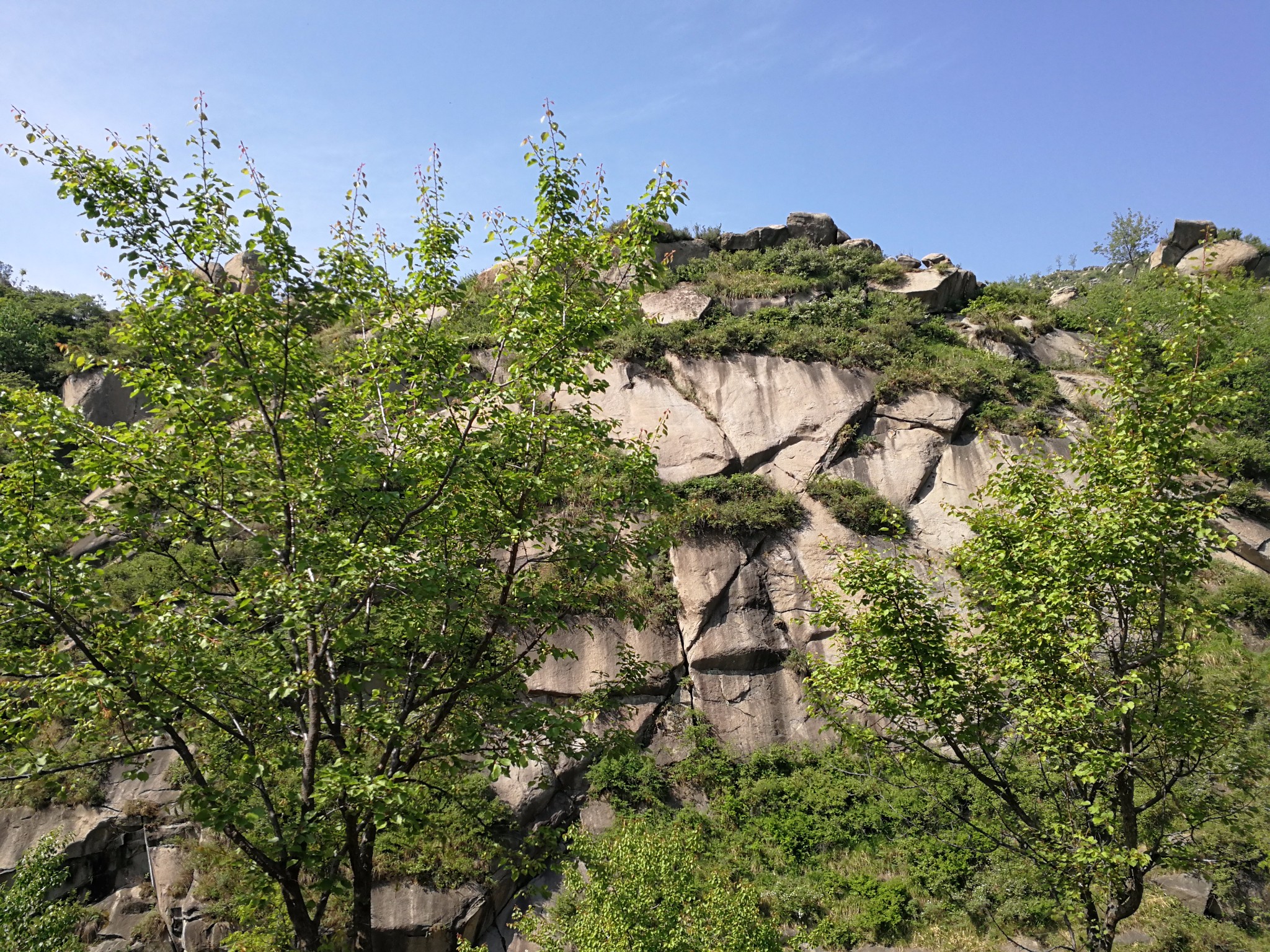 2018-035#蔡家峪摩天岭:探秘神秘的地方,泉水流淌,植物繁密,下山忽遇