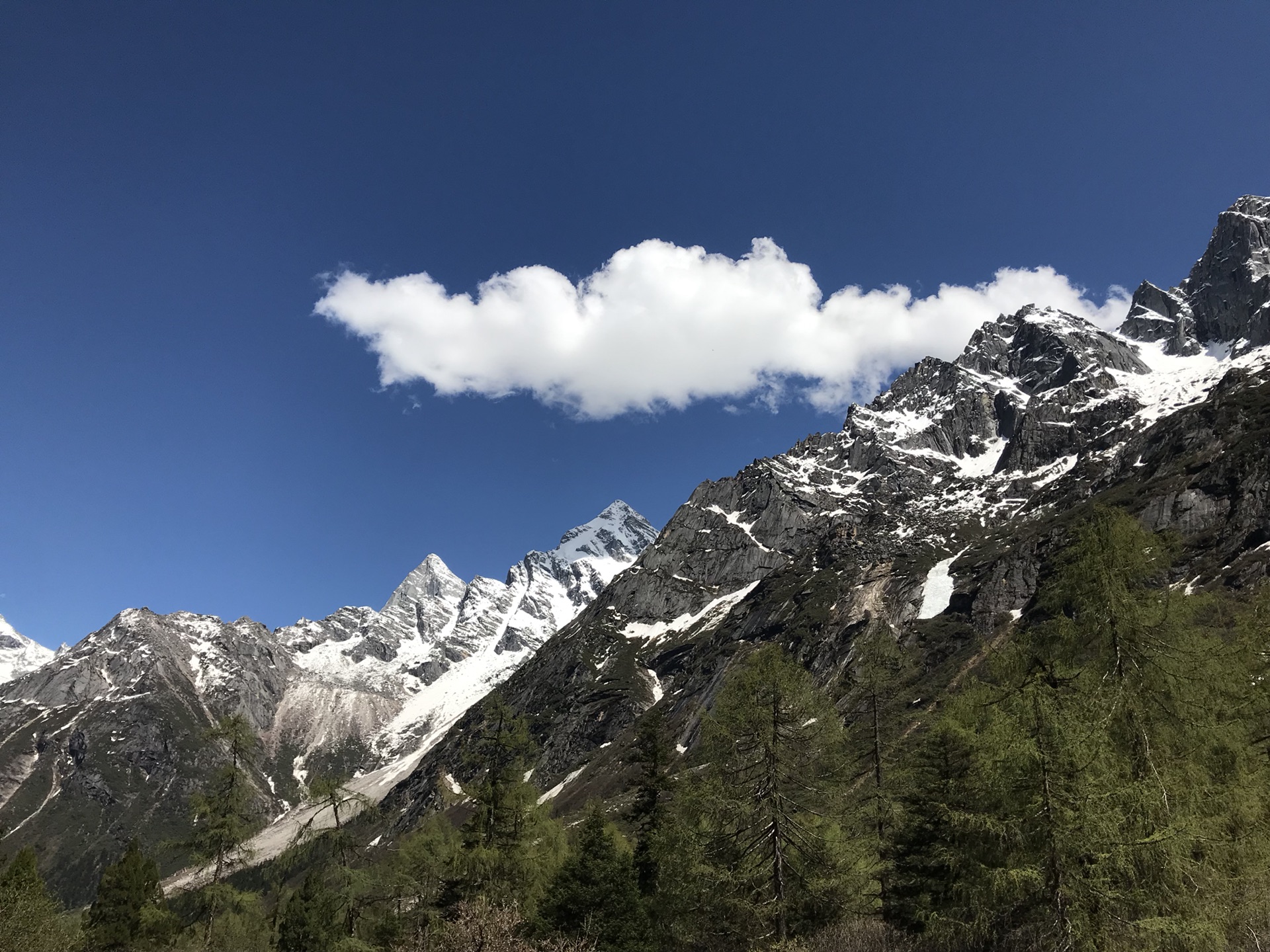 空山新雨后(古尔沟温泉 毕棚沟雪山之旅)