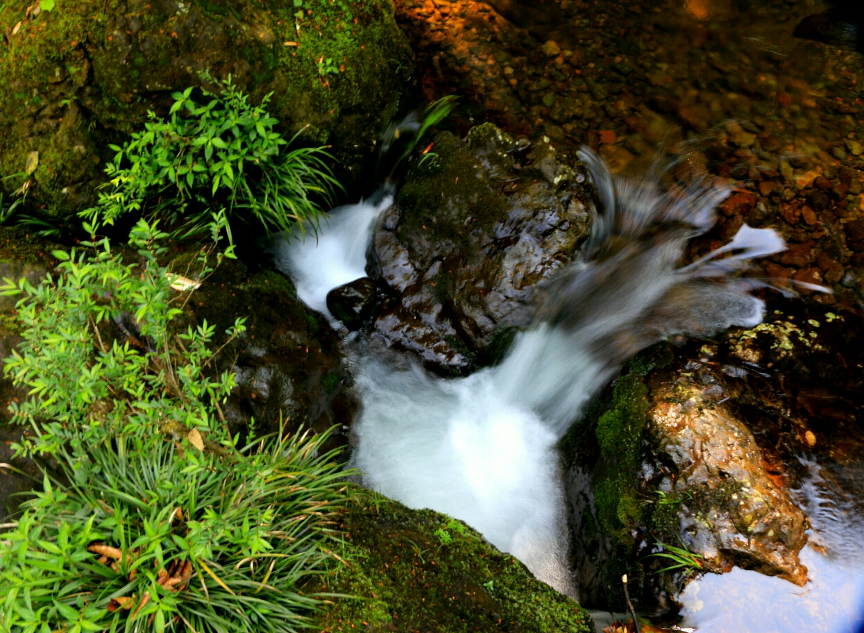 雅安龙苍沟风景区