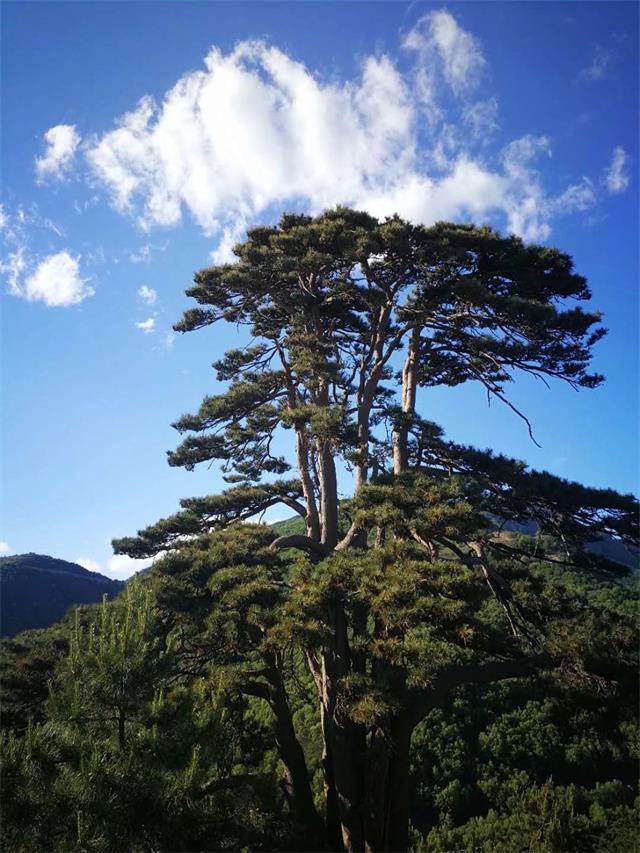 天津蓟州区青瑞祥舍