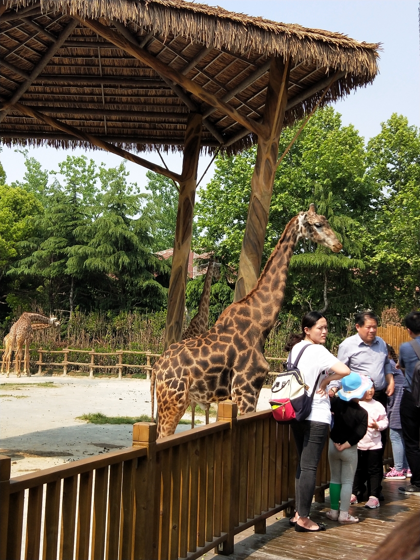 �Ϻ�Ұ������԰һ����