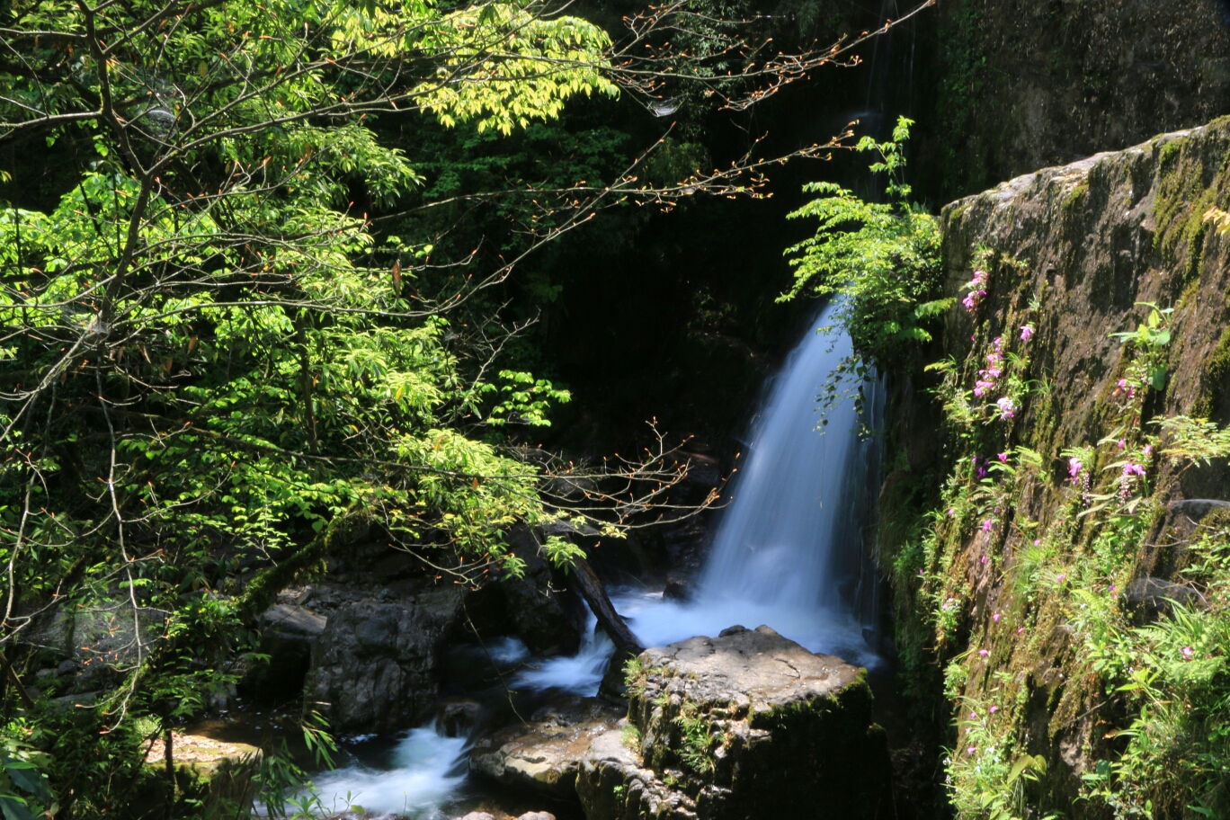 雅安龙苍沟风景区