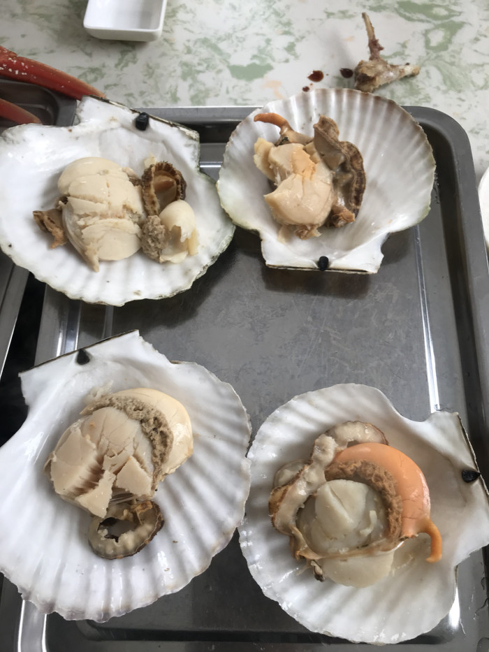 珲春哪里海鲜好,吃着实惠,买着便宜。