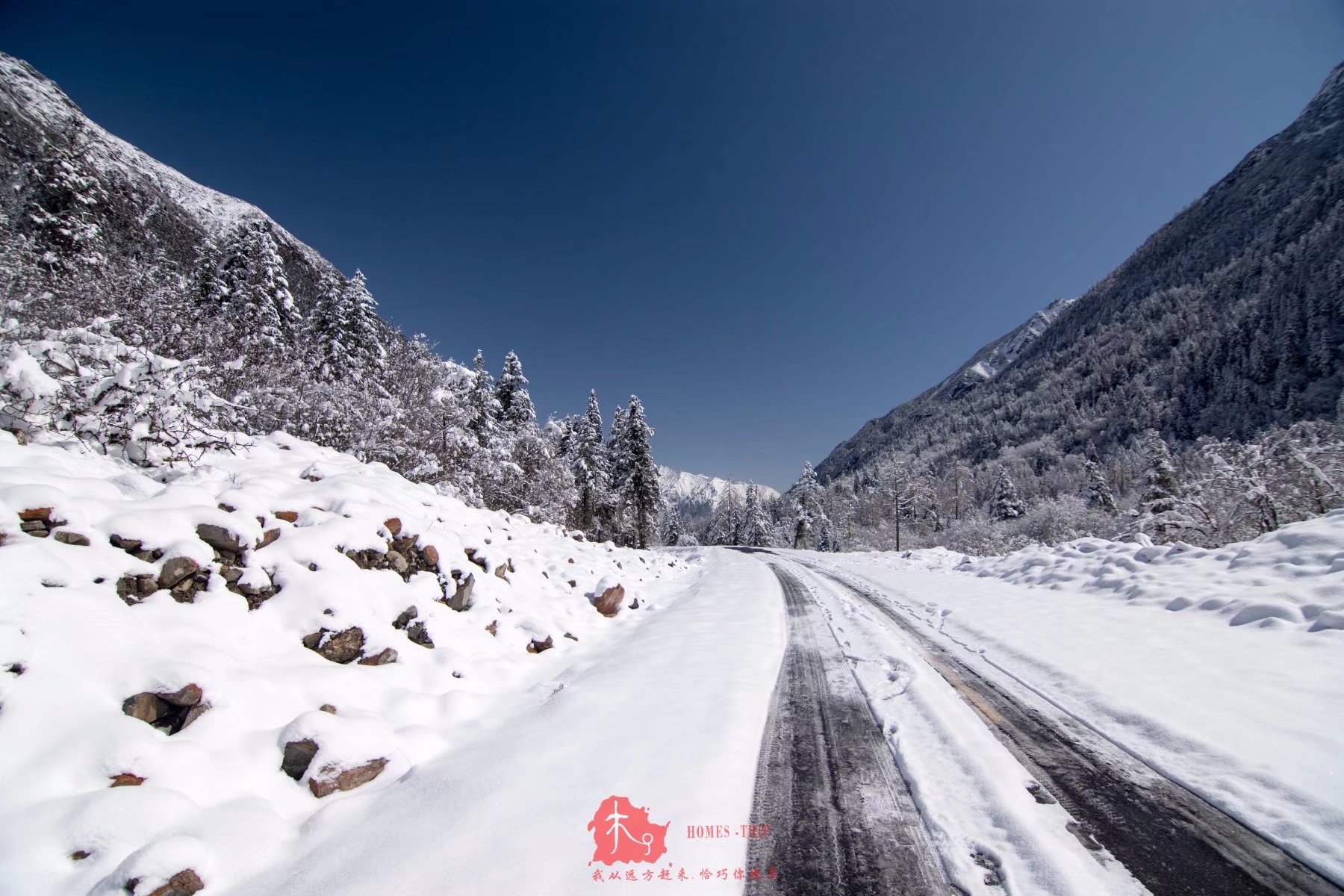 西岭雪山人均消费_西岭雪山