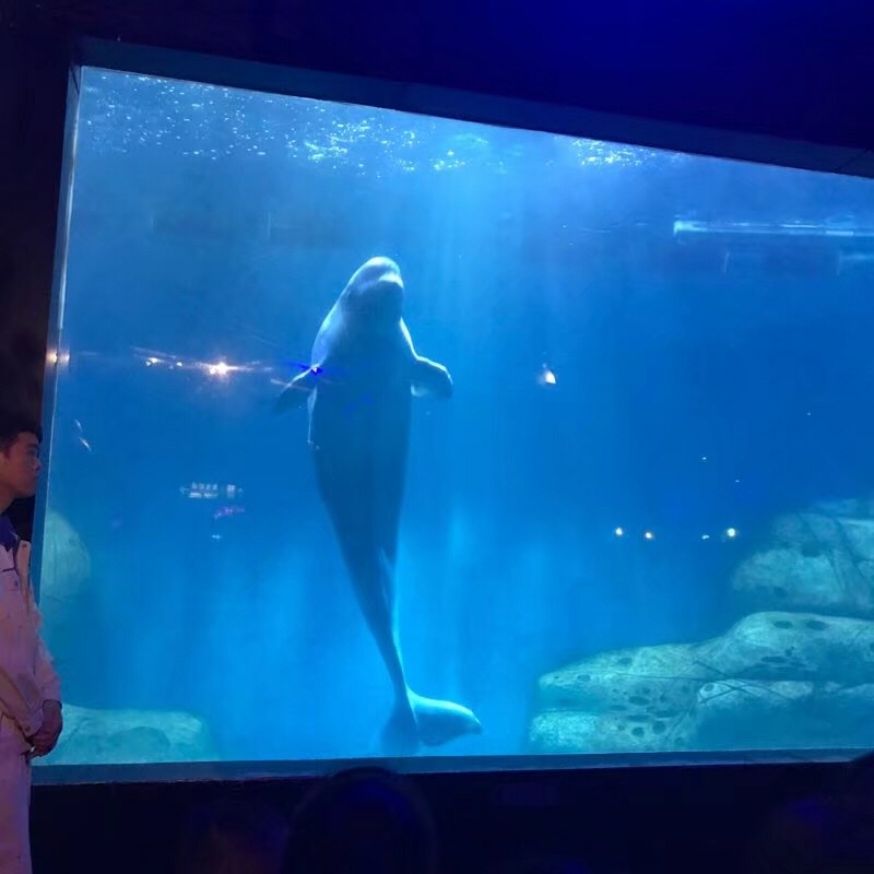 抚顺海洋馆