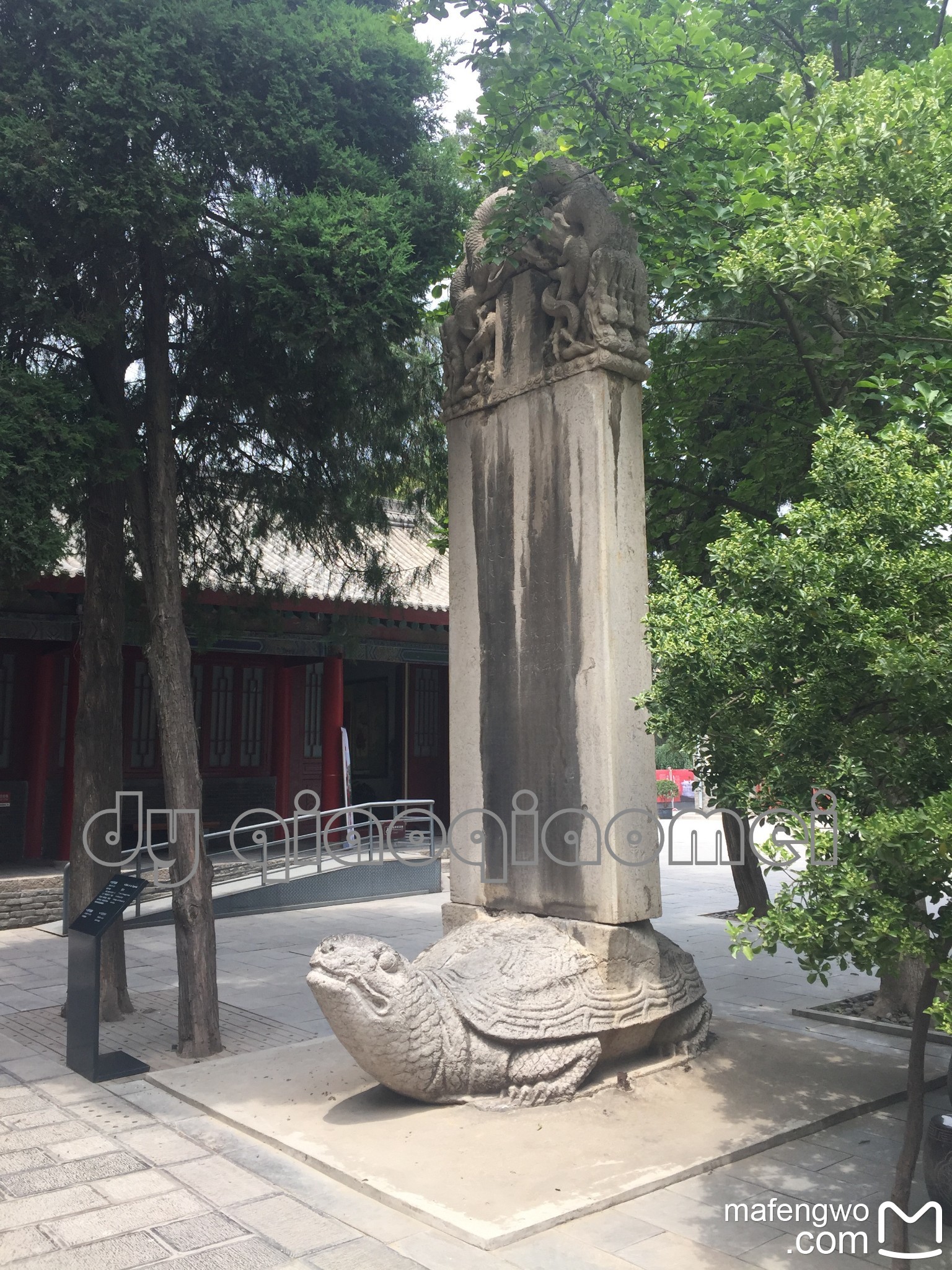 河南回族人口_河南人口分布图(3)