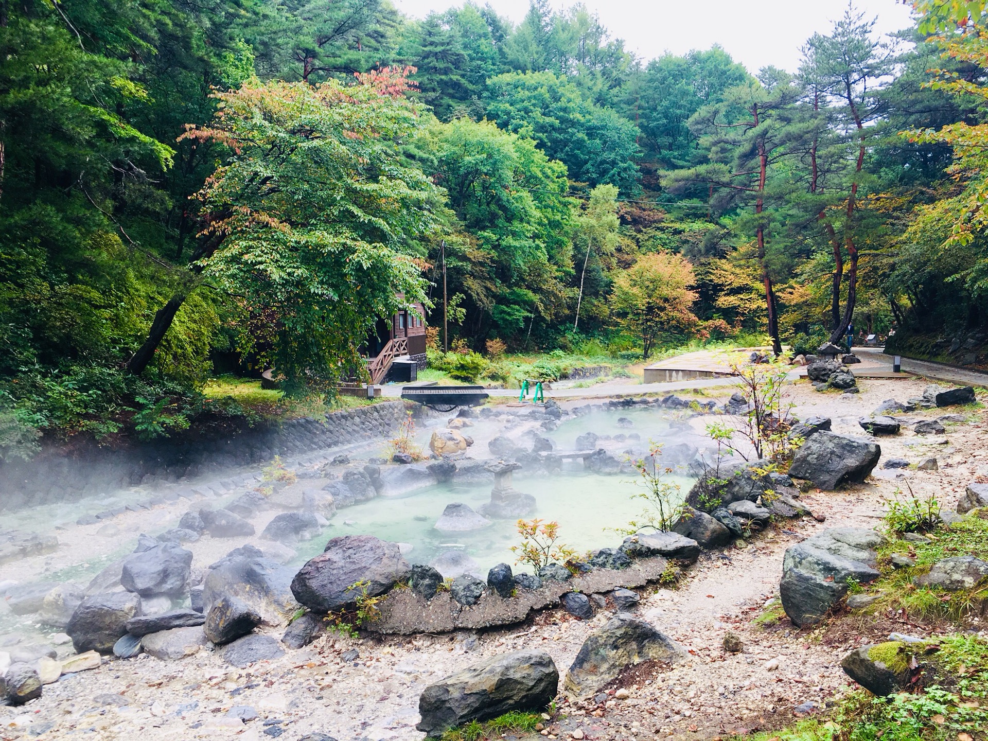 日本草津温泉 东京美食自由行