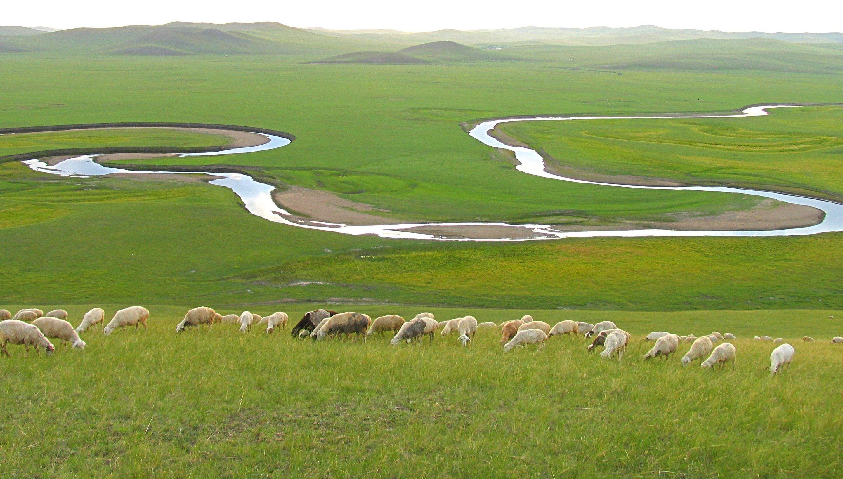 wKgBEFrZPZOAGJDjAAilDy3tEb052.jpeg?imageView2%2F2%2Fw%2F510%2Fh%2F8000%2Fq%2F100