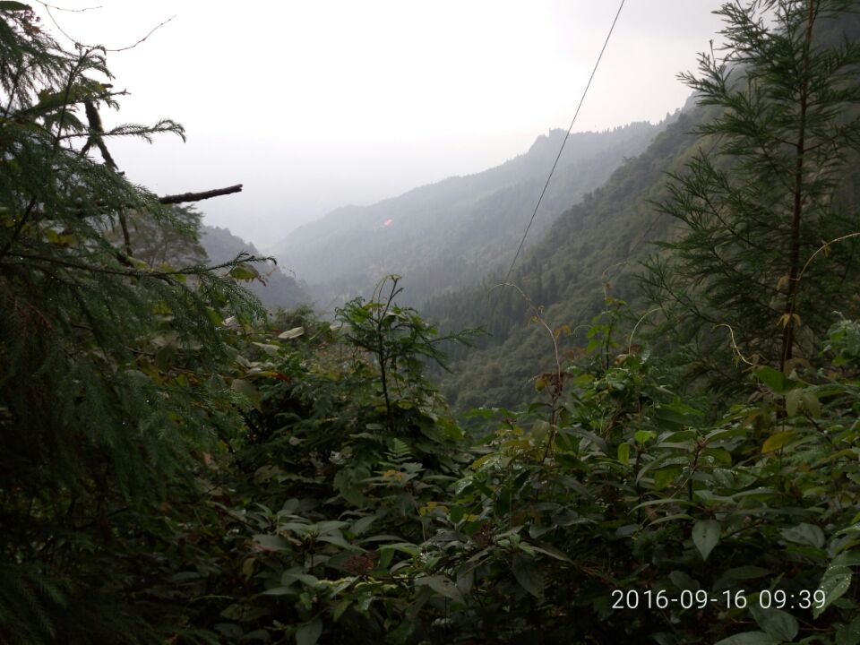 wKgBEFp-ilOALBkGAAGkJ4vTshY06.jpeg?imageView2%2F2%2Fw%2F600%2Fq%2F90%7CimageMogr2%2Fstrip%2Fquality%2F90