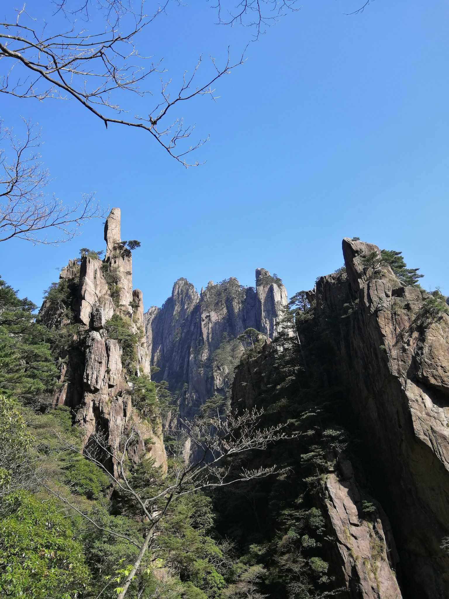 "仙人踩高跷",像吗?