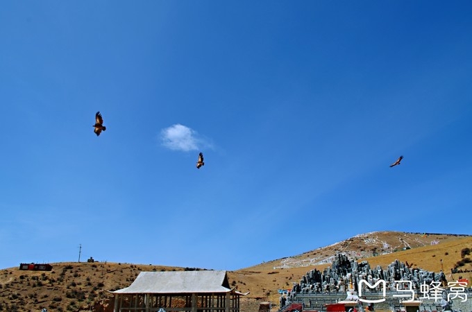 wKgBEFrnveyAZJ5BAAGCRQfqokE90.jpeg?imageView2%2F2%2Fw%2F600%2Fh%2F600%2Fq%2F90