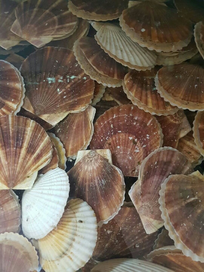 珲春哪里海鲜好,吃着实惠,买着便宜。