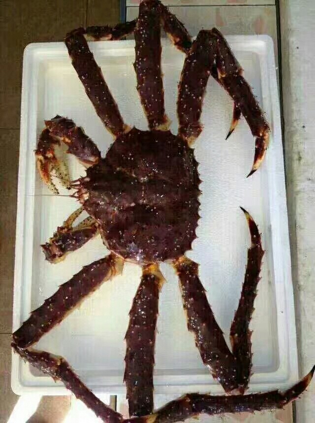 珲春哪里海鲜好,吃着实惠,买着便宜。