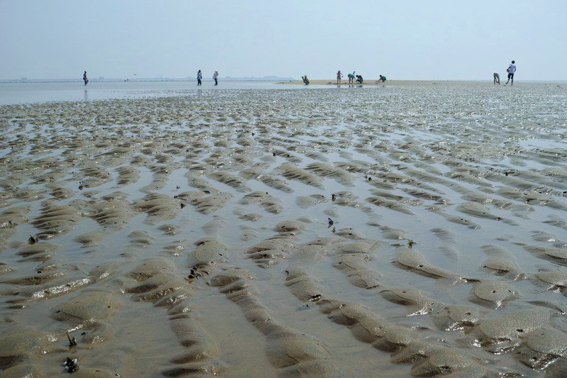 日照刘家湾赶海园景区电子票