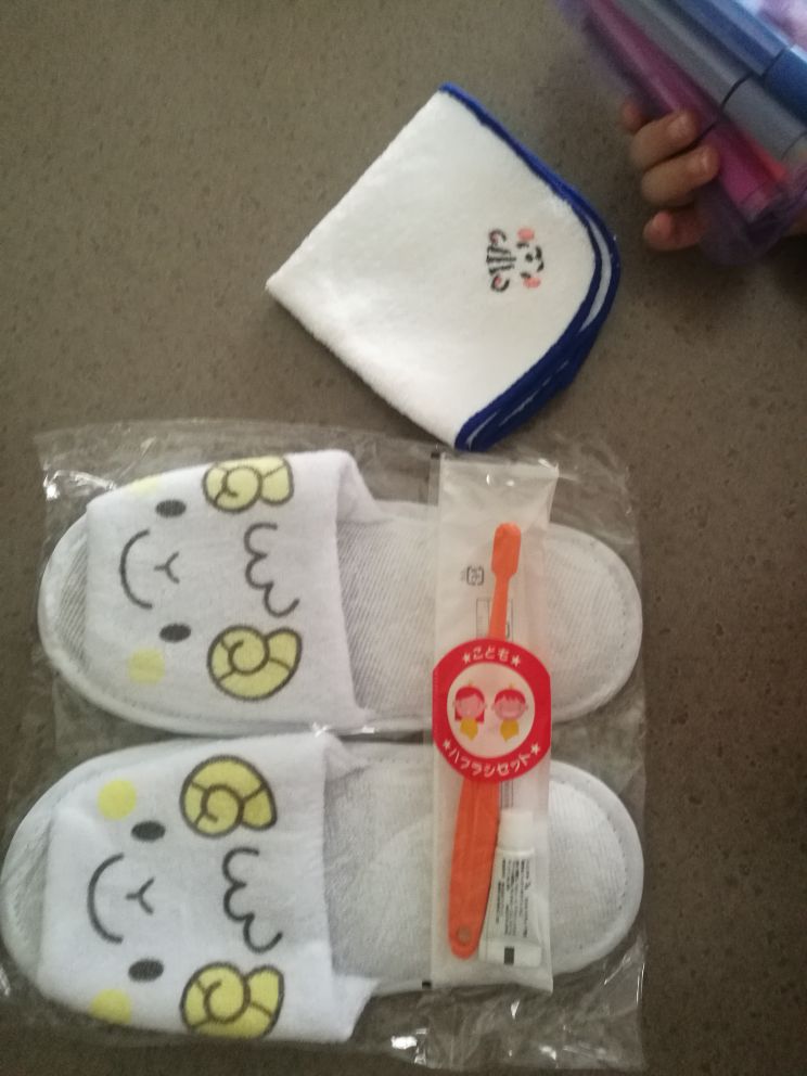 大阪日航关西机场酒店 Hotel Nikko Kansai Airport