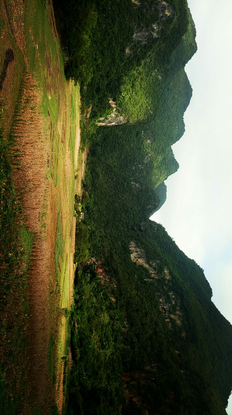 朝阳区外来人口最多村_朝阳区金盏乡东窑村(3)