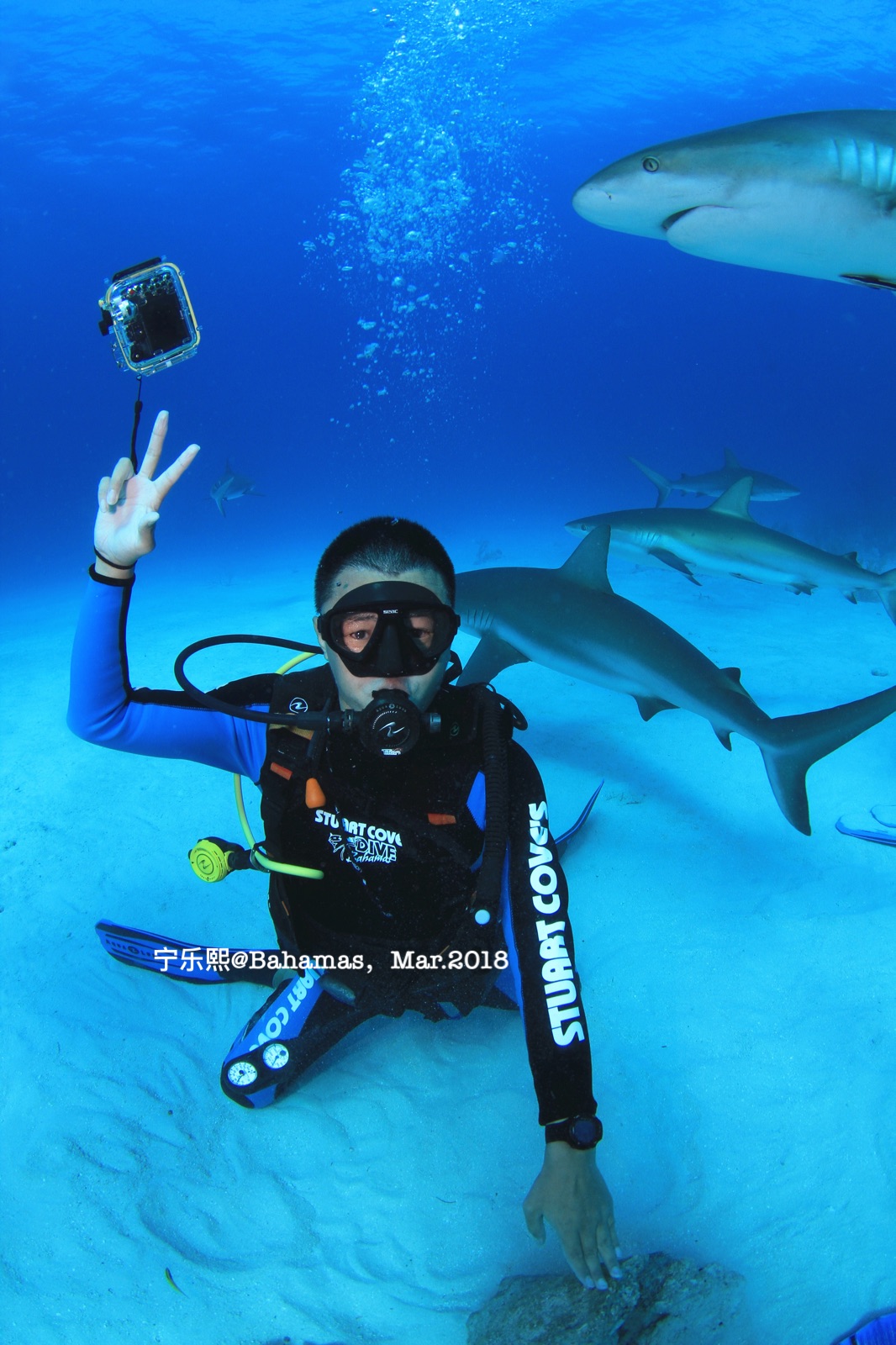 wKgBEFrd6weAGTHGAAXXH-jbpZs74.jpeg?imageView2%2F2%2Fw%2F600%2Fh%2F600%2Fq%2F90