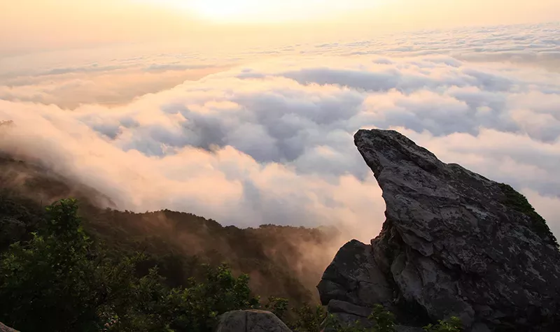 连云港花果山景点门票(东海仙山 大圣老家)