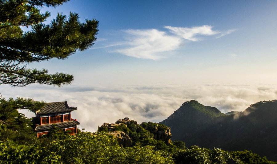 泰安旅游人口_泰安新生人口趋势图(2)