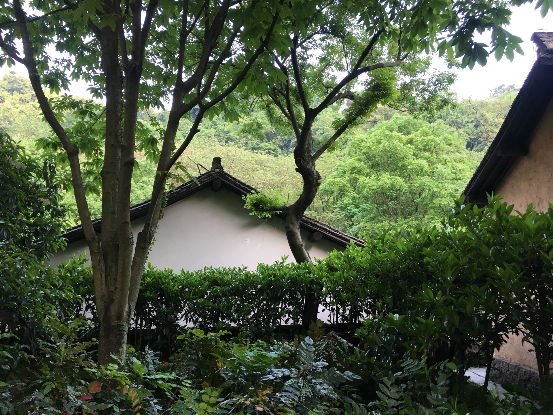 从灵隐寺到天竺三寺怎么走？需要多长时间