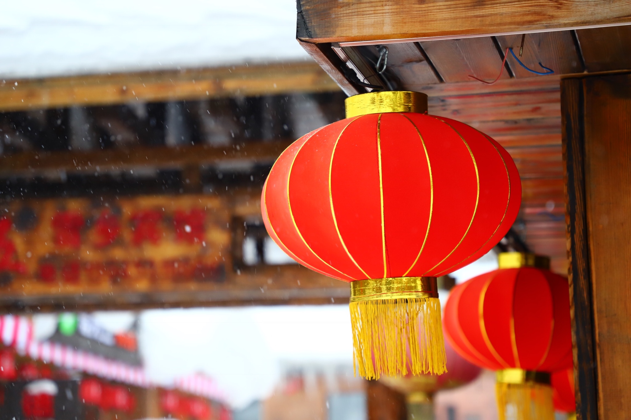 大东北过年记