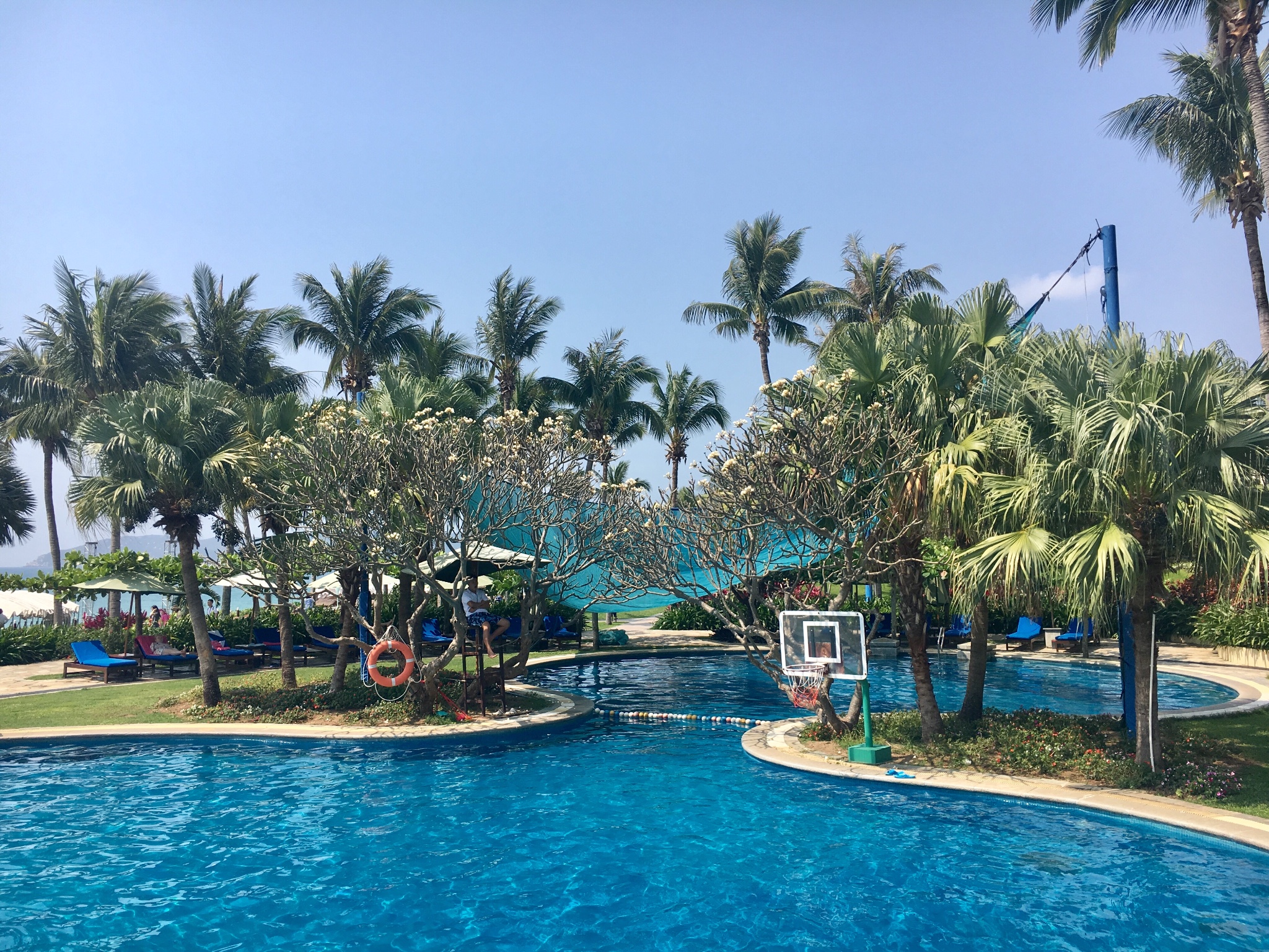 亚龙湾酒店排名_亚龙湾红树林酒店(2)