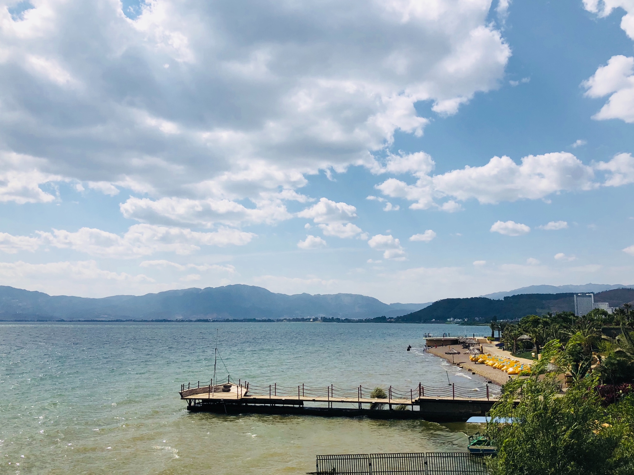 抚仙湖樱花谷        
