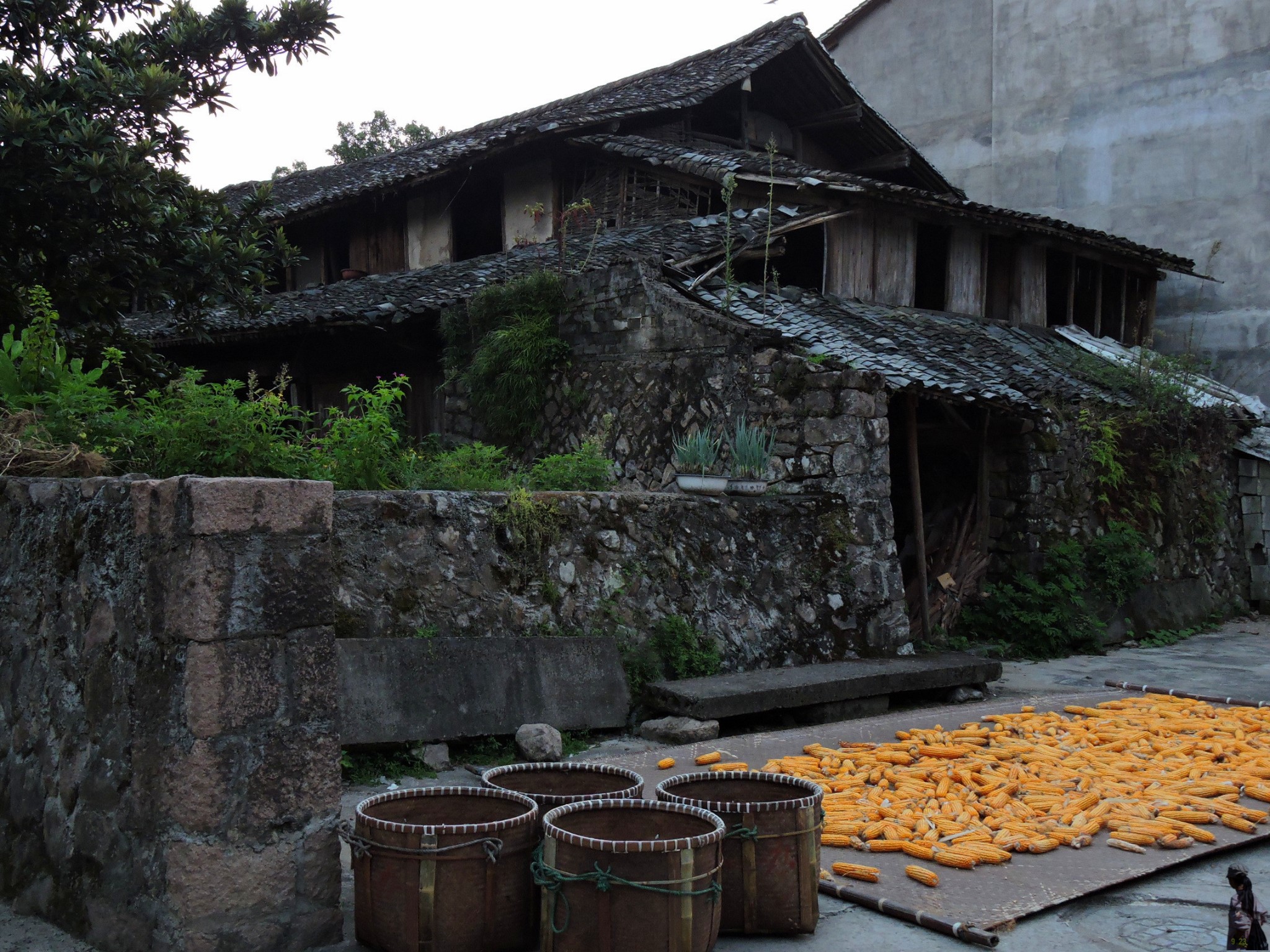 永嘉芙蓉古村