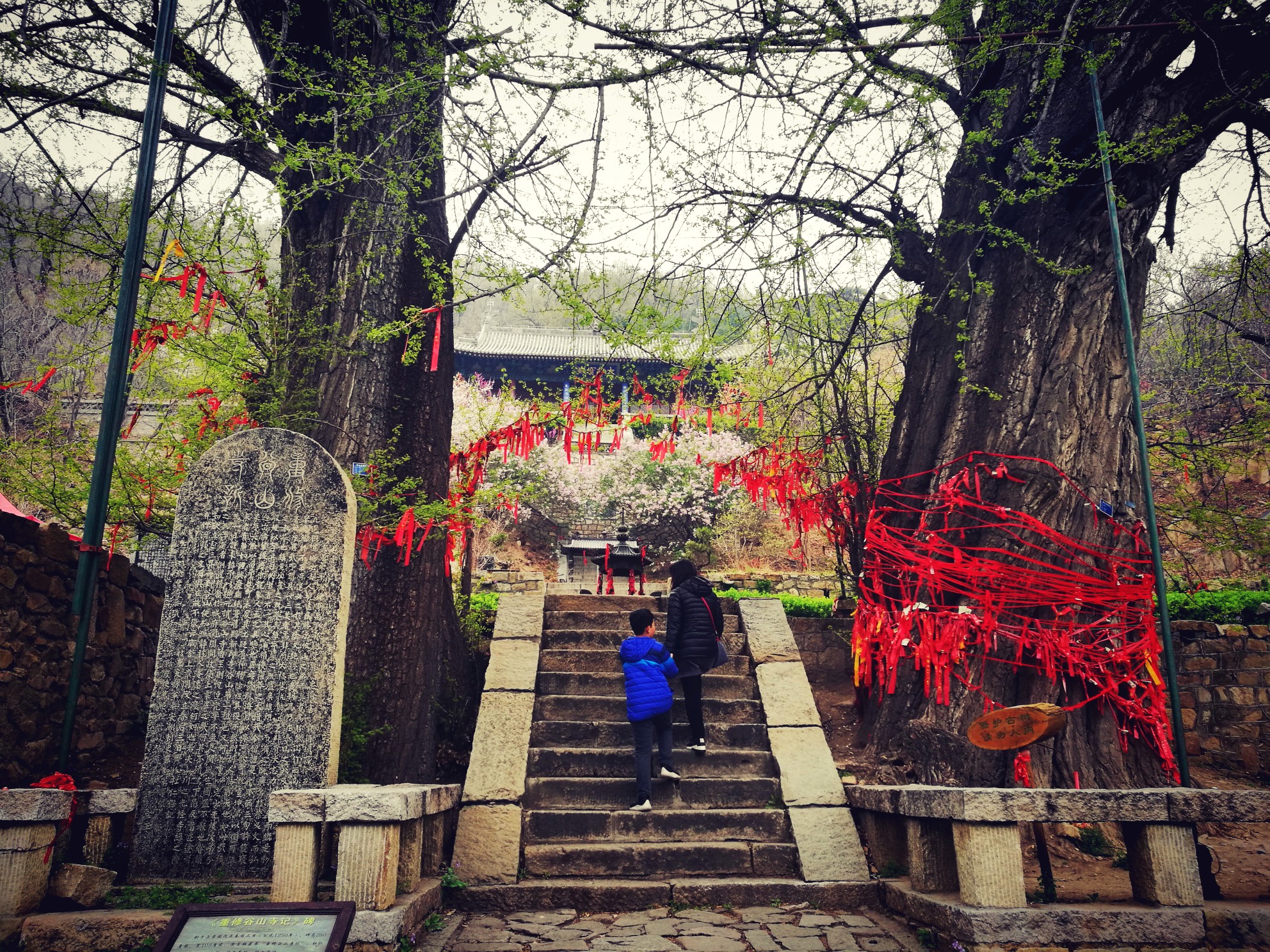 春游泰山玉泉寺