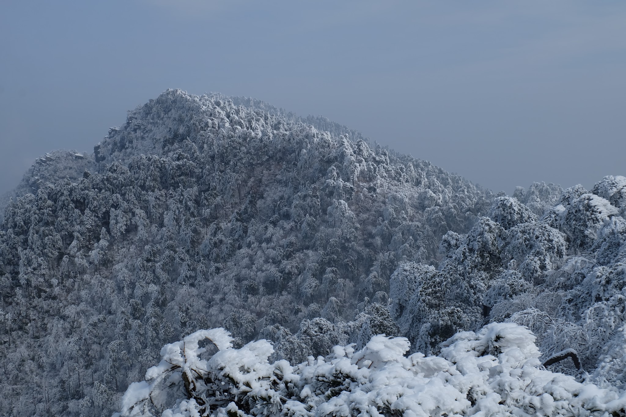 wKgBEFp0ZMyAYqQ5AAx5puYX4Is91.jpeg?imageView2%2F2%2Fw%2F680%2Fq%2F90%7CimageMogr2%2Fstrip%2Fquality%2F90