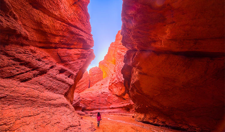 wKgBEFqzb76AYapDAAITq-5LVZY62.jpeg?imageView2%2F2%2Fw%2F510%2Fh%2F8000%2Fq%2F100