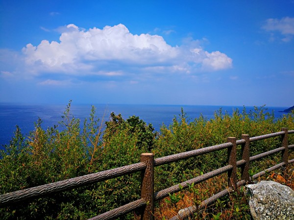 鹿儿岛简介 wKgBEFqvJwyAC84WABWRbitjm_w49.jpeg?imageView2%2F2%2Fw%2F600%2Fh%2F600%2Fq%2F90