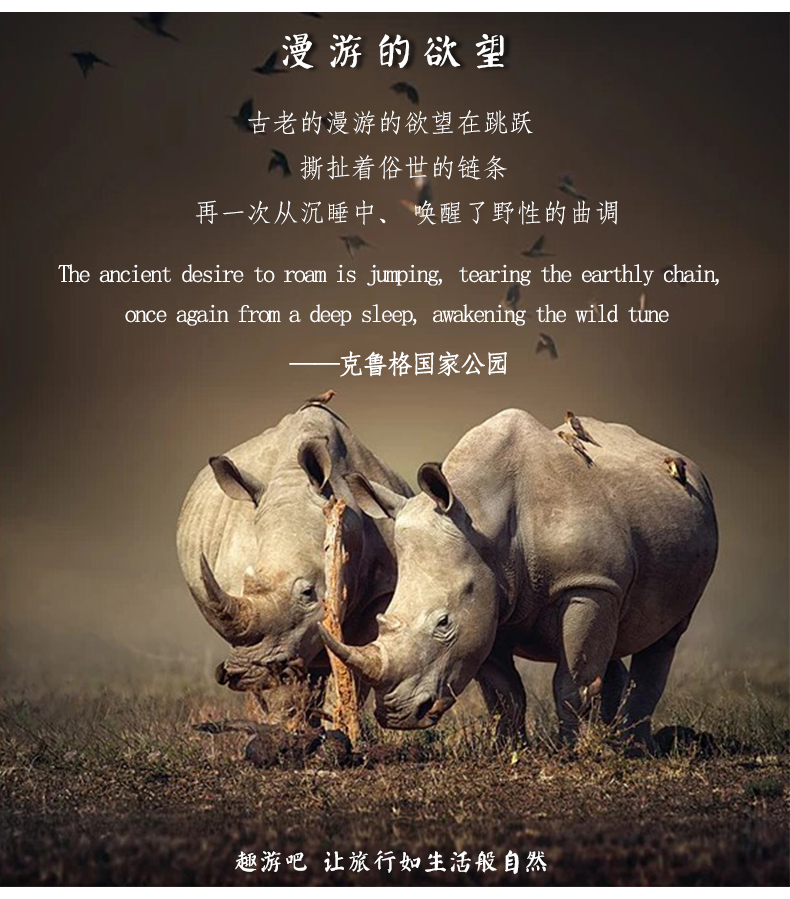 梦境迷踪，大莽蛇的追逐与自我救赎的寓意