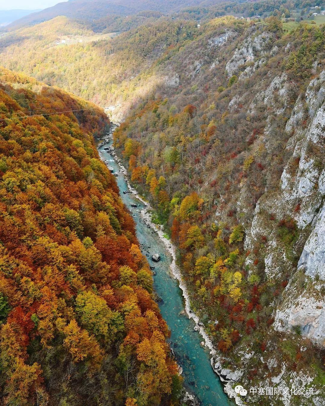 横跨塔拉峡谷,位于杜米托尔国家公园内,是黑山最受欢迎的景点之一