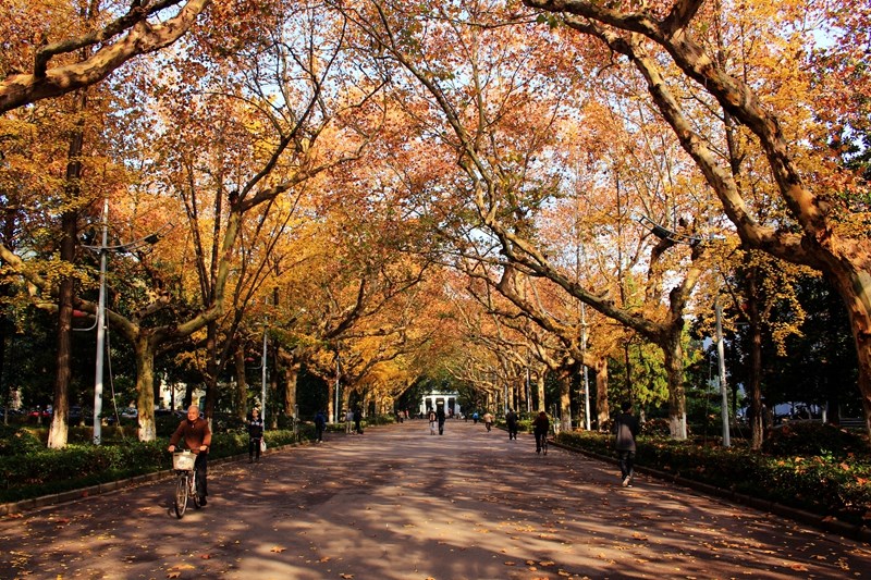 南京明城墙 南京大学鼓楼校区 南京师范大学随园校区