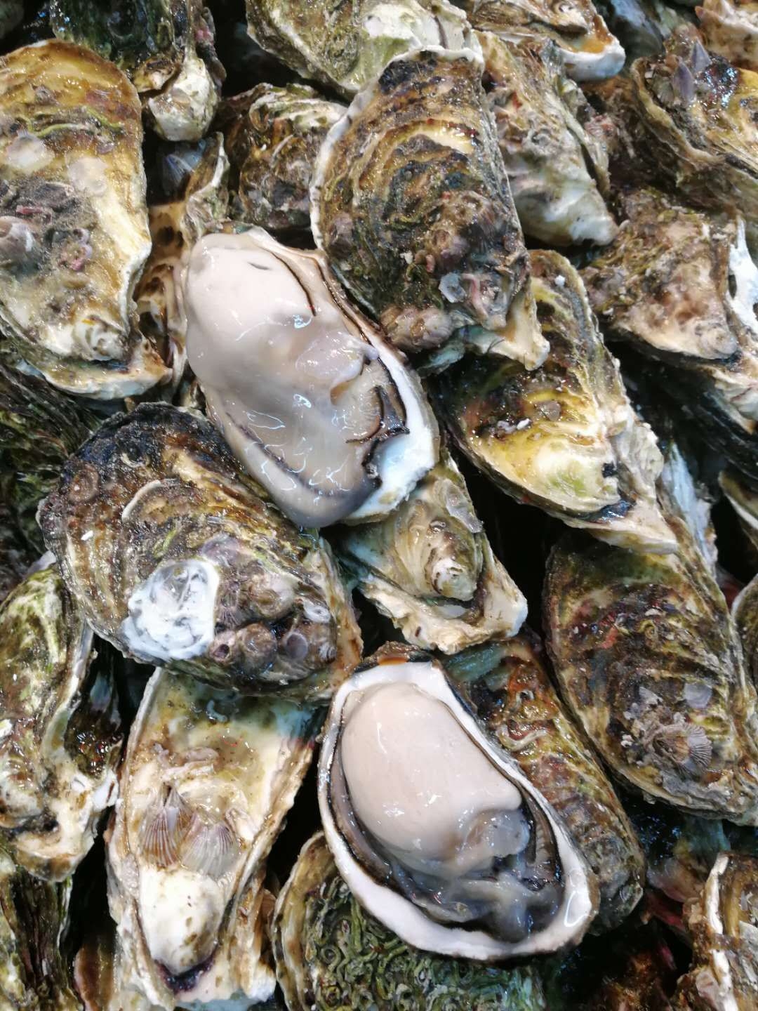 wKgED1ubx4iAHSA4AAl5PQk4ItE41.jpeg?imageView2%2F2%2Fw%2F600%2Fh%2F600%2Fq%2F90