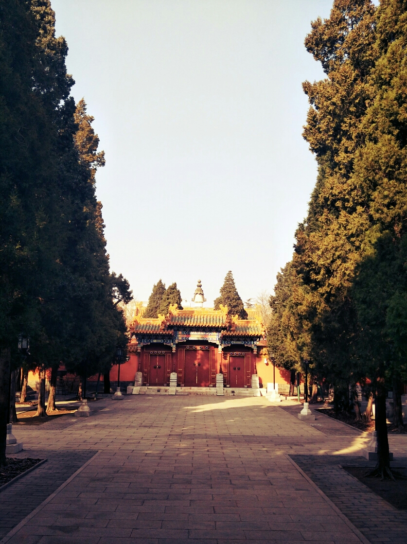 北京黄寺 马蜂窝