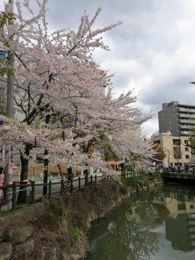日本富山游玩攻略,日本富山游玩攻略图