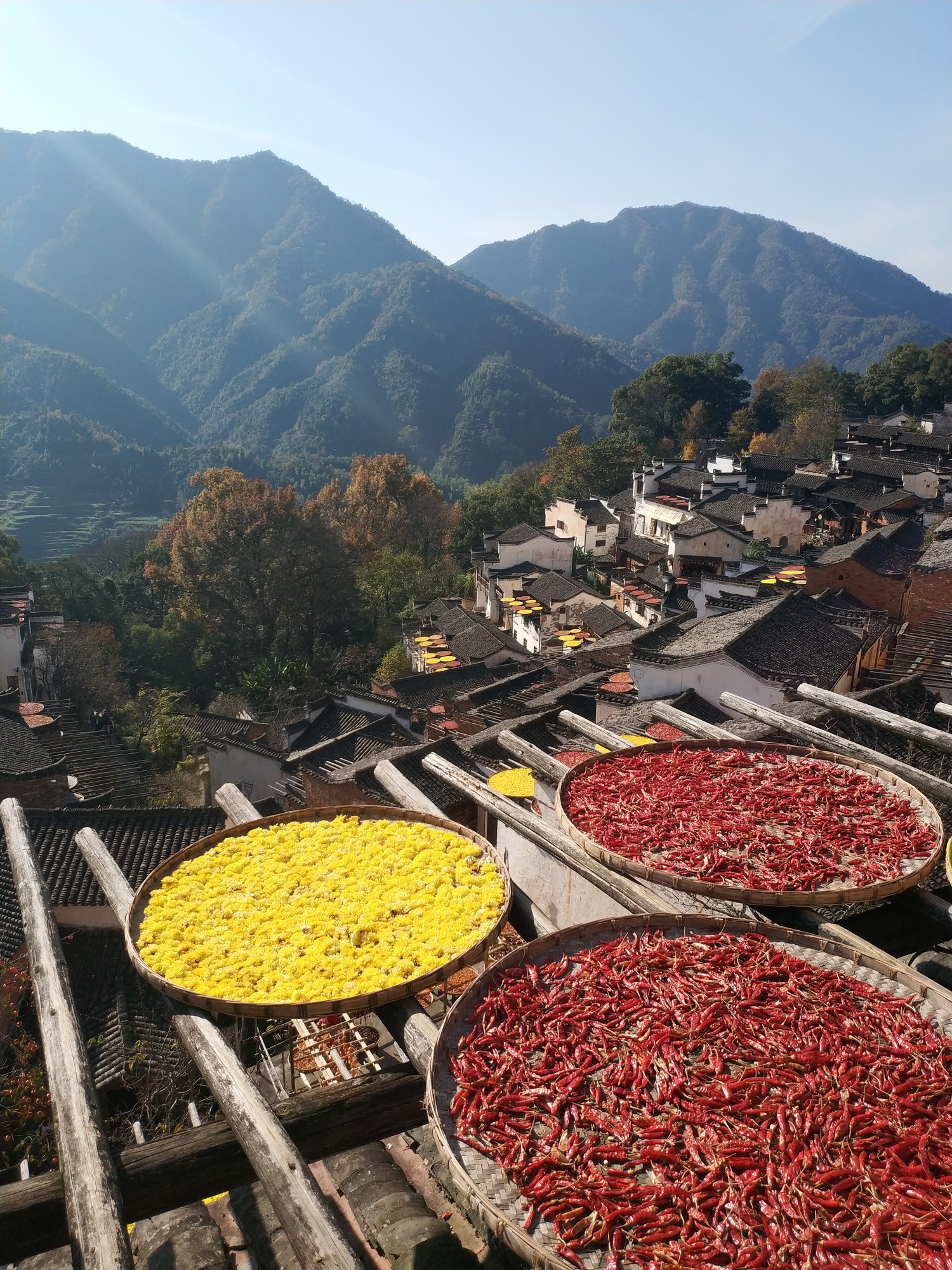 婺源篁岭秋日打卡