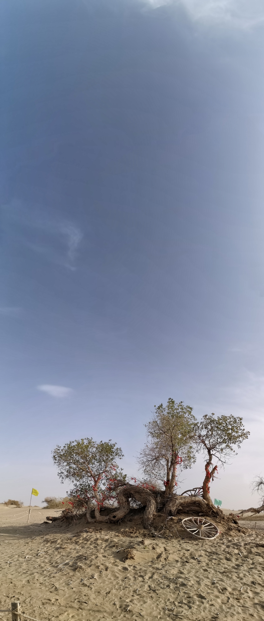 wKgED1vUVceAEX_KAAuQPA-85sM40.jpeg?imageView2%2F2%2Fw%2F600%2Fh%2F600%2Fq%2F90