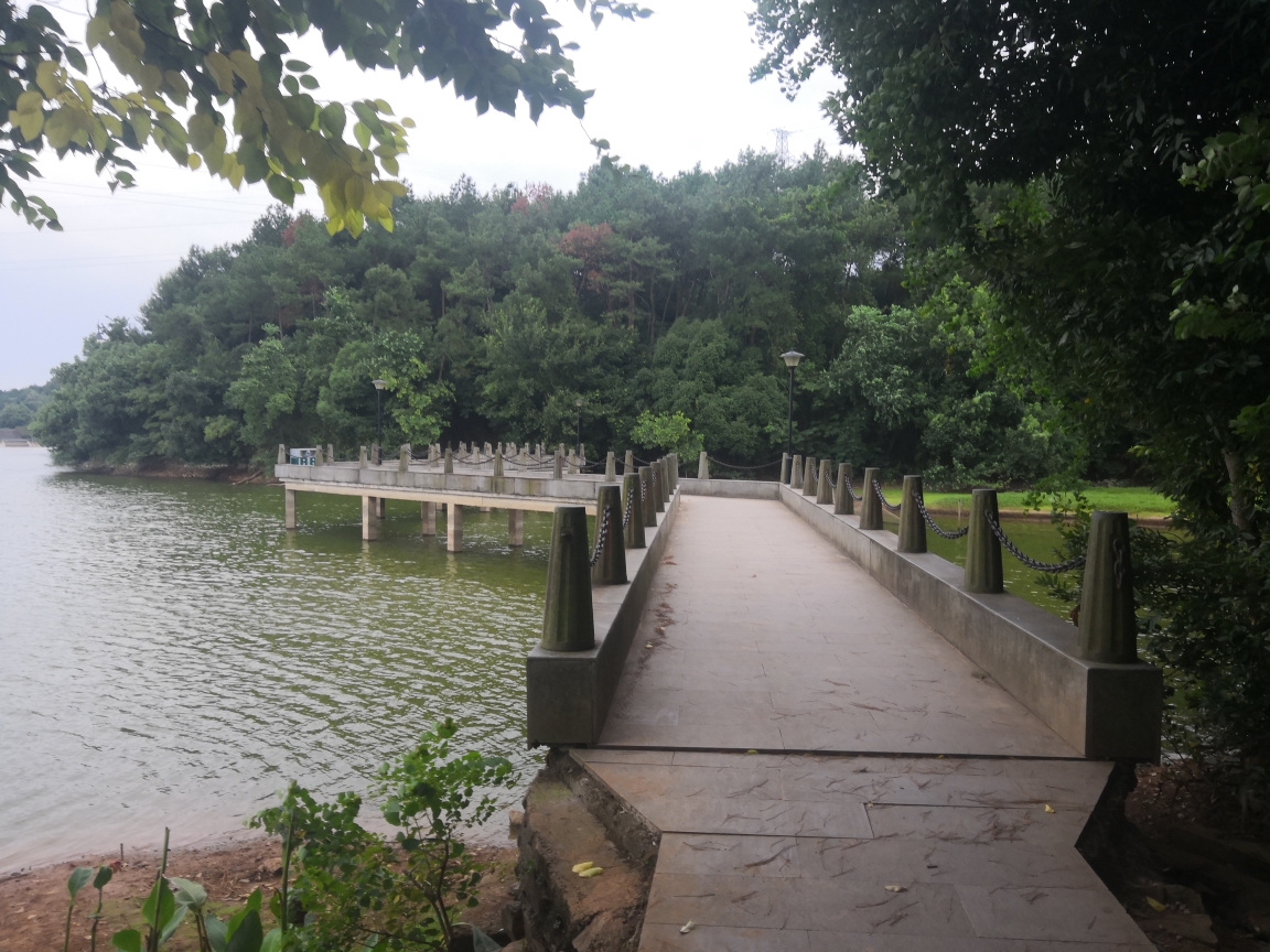 江南华清池,浙中桃花源之武义篇—唐风温泉 雨中牛头山