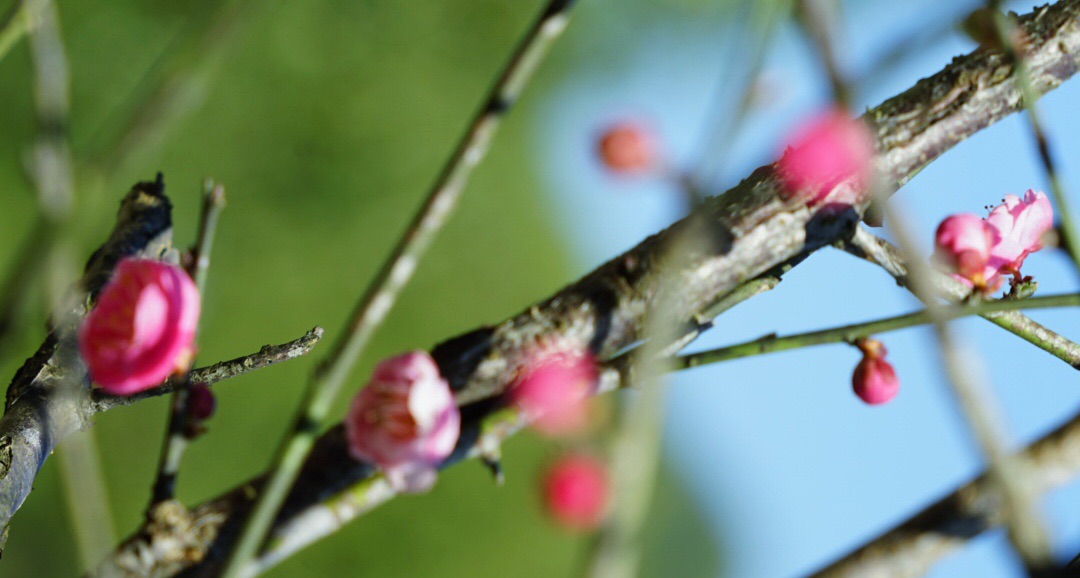 wKgED1xJbgSAIoh1AAHetraf9VE77.jpeg?imageView2%2F2%2Fw%2F600%2Fh%2F600%2Fq%2F90