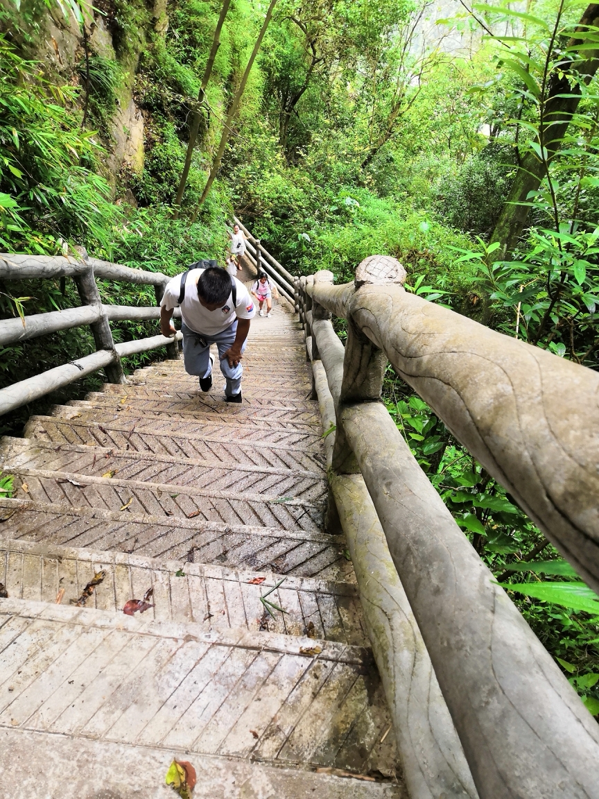 自虐式旅行,九皇山.,江油旅游攻略 - 马蜂窝