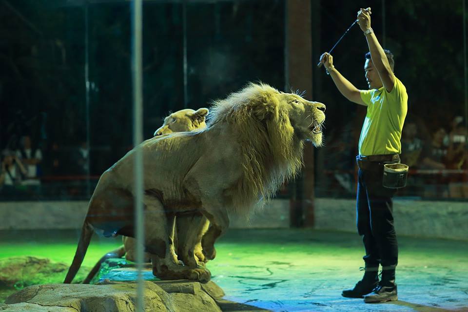 wKgED1vqLxaAeVfaAAEHdYlFRsU22.jpeg?imageView2%2F2%2Fw%2F600%2Fh%2F600%2Fq%2F90